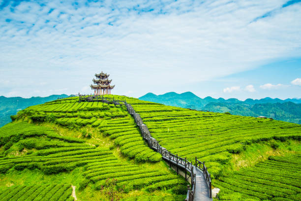 Idukki