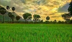 Palakkad