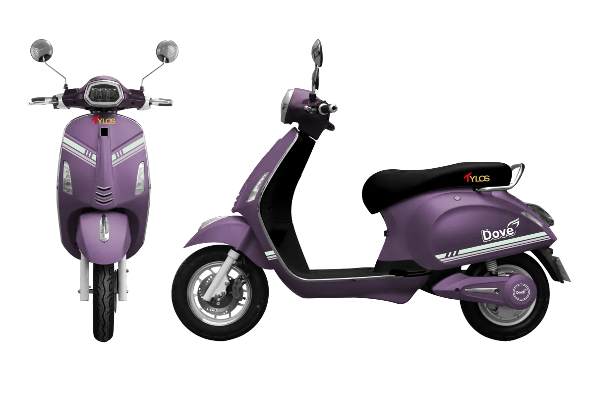 Dove Purple