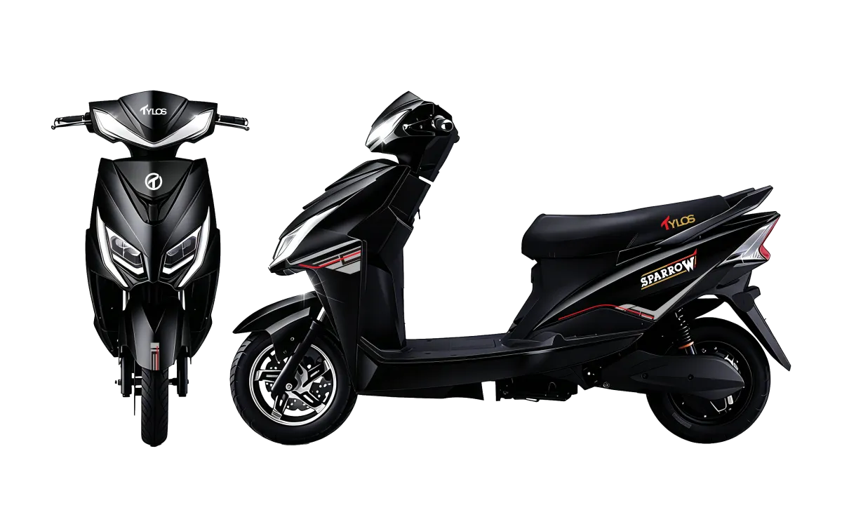 Sparrow Black